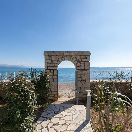 Mcn By Whitedream Barbati