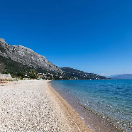 Mcn By Whitedream 빌라 바바티